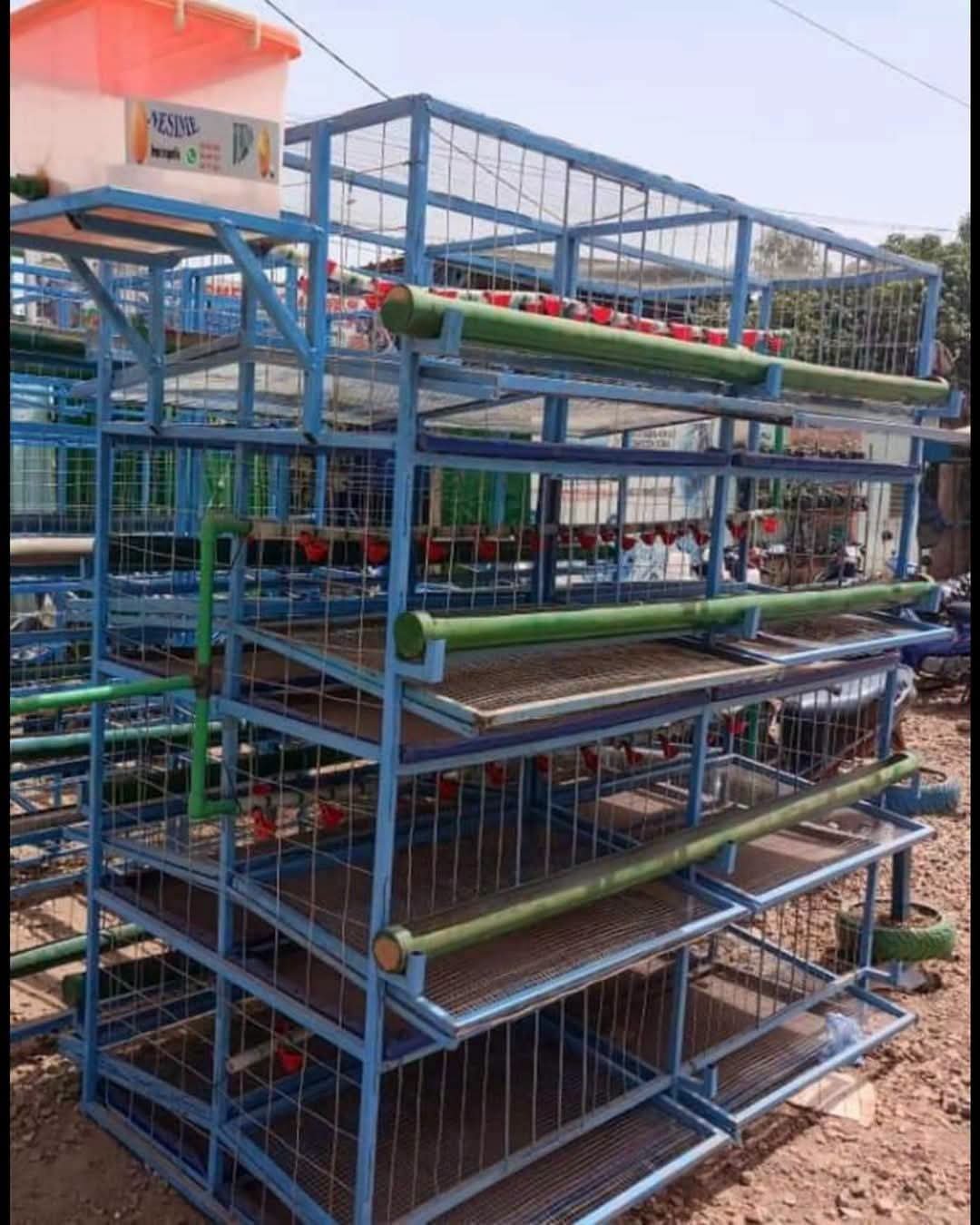 Batterie de cages galvanisées pour cuniculture