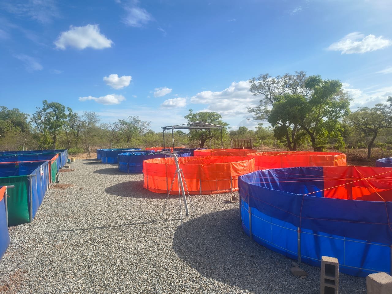 Vue d'ensemble de la Ferme Onésime avec ses bassins piscicoles