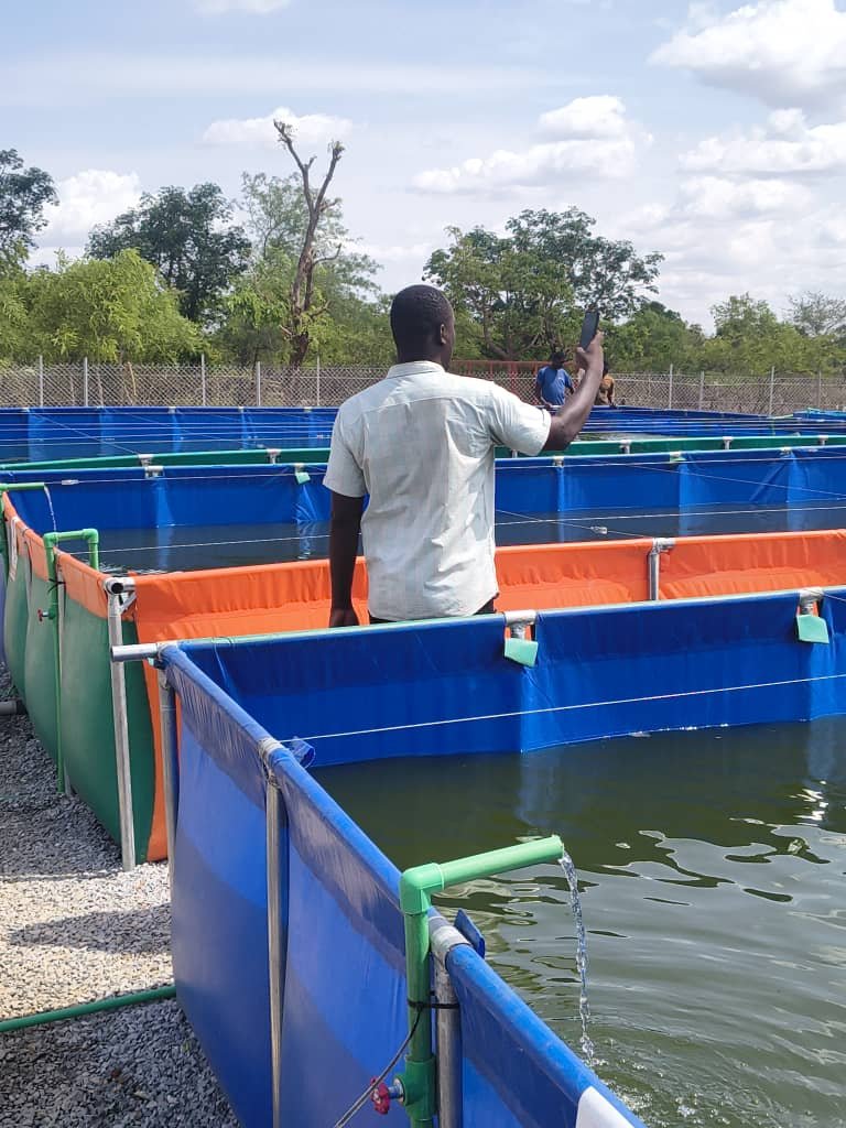 Inspection des bassins et des alevins