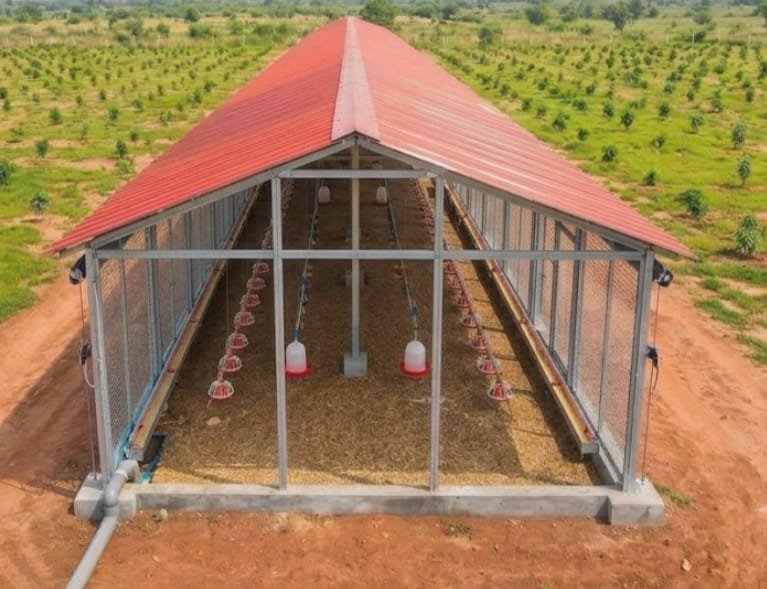 Poulailler de grande taille pour l'aviculture